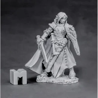 Reaper Miniatures Alandin, Elf Paladin 03863 Dark Heaven Legends Unpainted Metal - Your Source for Gaming Essentials Shop